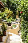 Hotel Ritmo Tropical - Pool and Breakfast Hotels in Carmen