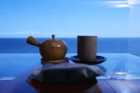 Wakamatsu Hot Spring Resort - Merinäköala
