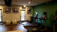 Holiday Inn Express & Suites DAPHNE-SPANISH FORT AREA by IHG - gimnasio