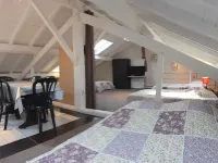 Gites Domaine de la Rochere Hotels in Domsure