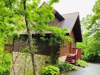 Romantic Honeymoon Cabin in the Smokies Hotels in Cosby