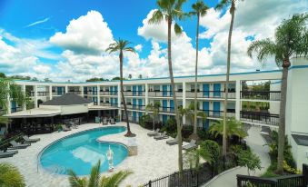 Oasis Bay Suites, Tampa, Busch Gardens, USF