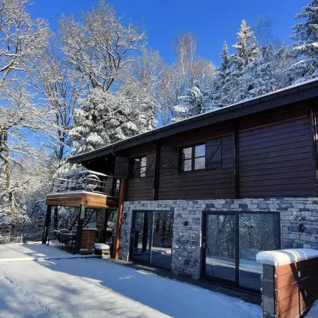 Chalet in the Woods with Nordic Bath