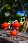 The Overhang - bar