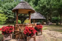 Holiday Homes, Kodrabek Hotel dekat Góreccy H.J. Gospodarstwo ogrodnicze. Szkółka roślin ozdobnych