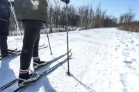 Mansfield Outdoor Centre Hotels in Mulmur