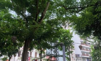Holly Apartment near Truc Bach Lake