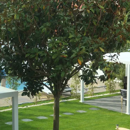 Art 4 You Carcavelos Suites