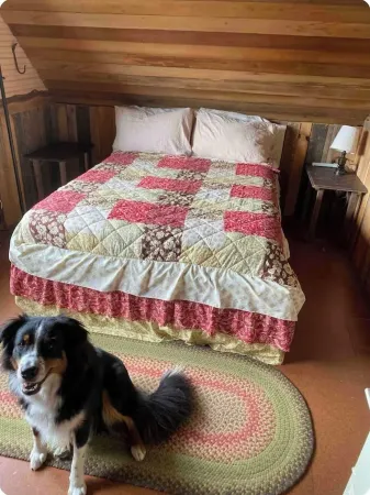 Genuine Farm experience! Barn loft on Organic Farm—pet pig and chickens below!