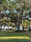Tropical Marina & Resort on Lake Beresford Hotels in DeLand