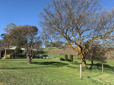Vineyard views, large deck, Pet friendly, WiFi, Netflix, Pool, Firepit, Aircon