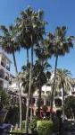 Lovely corner apartment full of light ,Villamartin Plaza, close to golf & beach Hotels in Villamartin