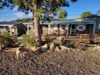 Relaxing Cabin in the heart of Red Feather Lakes!!