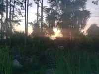 Cozy Camper PET Friendly Welcome to the Hurricane Hideaway!