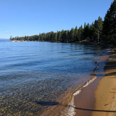 Walk to Lake! Dazzling Chalet - 3+Bd 2.5ba 2100sf - Heart of the West  Shore