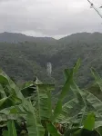 Jungle, waterfall, sea view, 5 minutes from beach, lap pool & gym. Bird watching