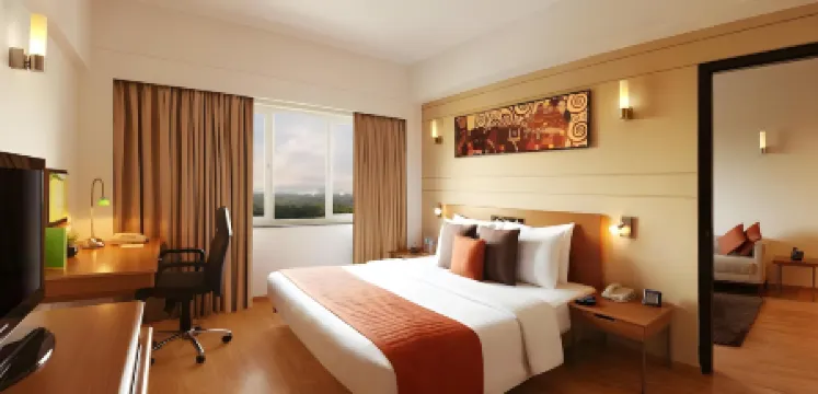 新德里梅爾東檸檬樹飯店