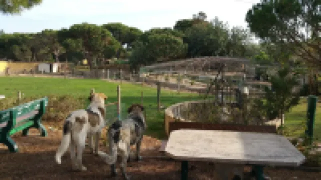 Villa Pera-Perfect for families w/ private pool, bbq & garden inside 3acre farm