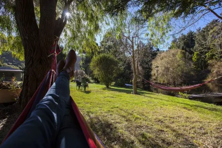 Escape to Valley View Nature Retreat – A Hidden Sanctuary in Apollo Bay