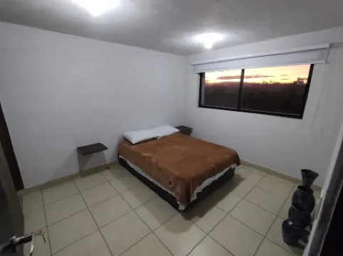 Excelent apartment, near Downton and Zapopan