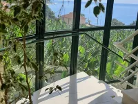 Apartment "Vai Vem" -T2 on the island of Madeira - Portugal Tourism 32408 / AL Hotels in Ponta do Sol
