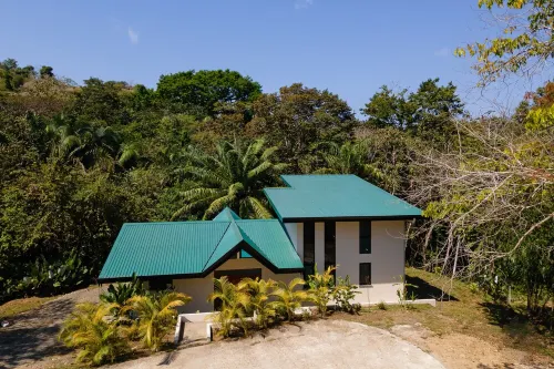 Casa Mamacita: Beautiful new home in peaceful jungle setting - สระว่ายน้ำส่วนตัว
