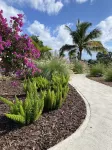 The Captain's Estate - Family Friendly 5 Bed Villa with large pool and views Hotels near Nevis