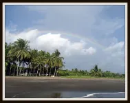 Costa Rica Paradise Right on the Beach!!! with FAST FIBER OPTIC WIFI included