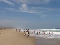 " The Eastham Cape House"