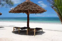 Jaz Adonia - Beach