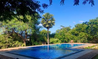 Cloud Nine Wilpattu by Aaradhya