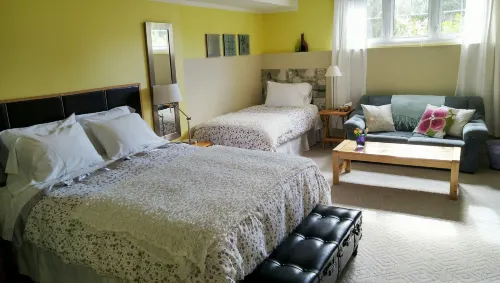 Opus 74 Bed & Breakfast - Homestays