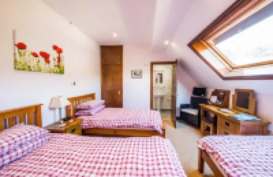 Llanerchindda Farm Guest House Hotels in 