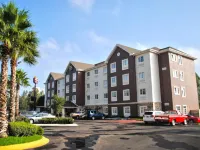 Intercity Zapopan Hotels near Palcco