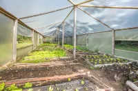 Hotel Recanto São Cristóvão - Próximo ao Parque Tarundu Hotels in Vila Loli