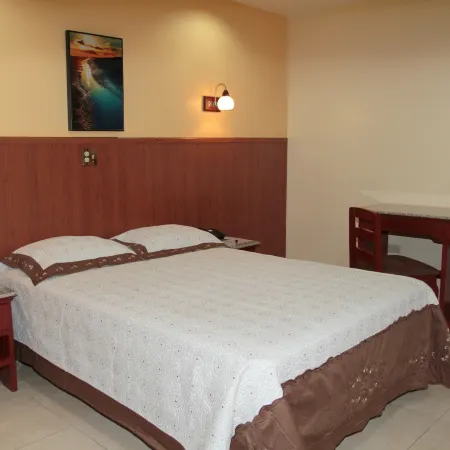 Hotel Alcala Hotels in David