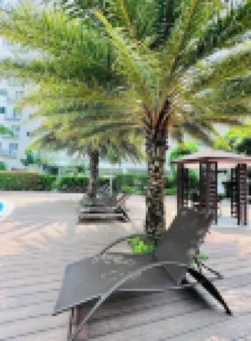 Paradise Staycation at South