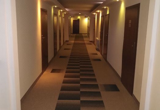 후메네 호텔 카르파티아