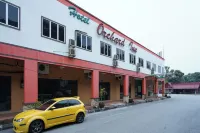 Dancenter Near  Shell Jalan Iskandar Shah, Orchard