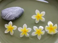 ซี โถว อิน ซันนี่ เดย์ อินน์ โรงแรมใกล้ป่าหวังโหย่ว