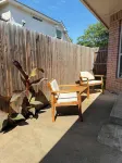 Cozy Arlington Retreat 2BR 2BA + Sofa Bed - อ่างจากุชชี่