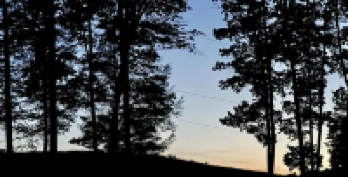 Cozy 3 BR Cabin with Pond on 3 acres / New River Gorge / Summersville Lake