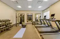 Hampton Inn & Suites by Hilton  Decatur - Gym