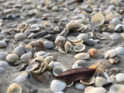 บ้านชายเลรีสอร์ท ขนอม โรงแรมในอำเภอ ขนอม