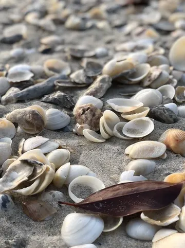 รูปภาพของบ้านชายเลรีสอร์ท ขนอม