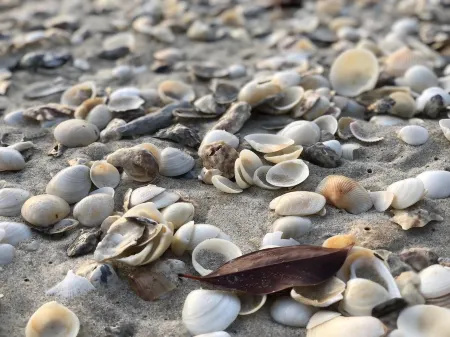 Baanchaylay Resort Отели в г. Кханом