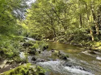 Apartment Burgblick in a quiet and central location in the villa district Hotels in Bad Blankenburg