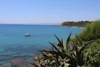 Barko Apartments & Suites