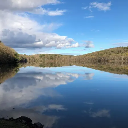 Berkshires' best! Tanglewood, Jacob's Pillow and 400 feet from a pristine lake