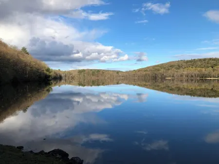 Berkshires' best! Tanglewood, Jacob's Pillow and 400 feet from a pristine lake Отели в г. Ли